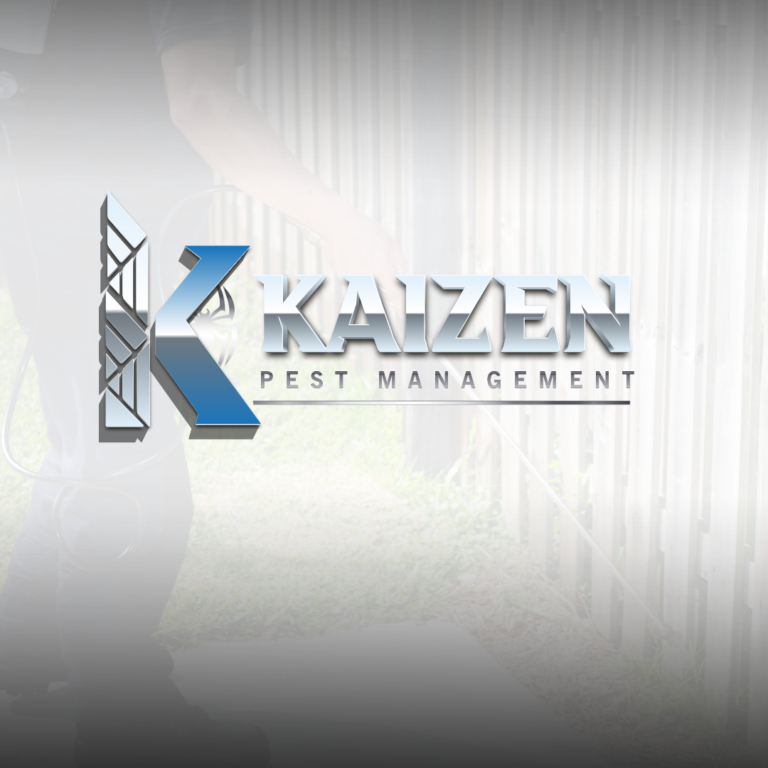 Pest Control Austin TX: What Homeowners and Businesses Need to Know