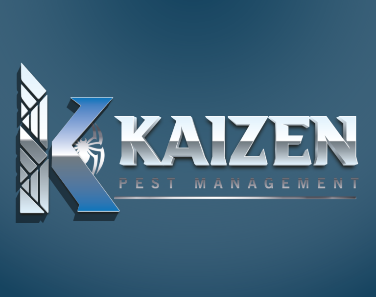 Termite Control Austin TX: Inspection, Treatment, and Long Term Prevention